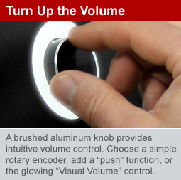 Visual Volume Control